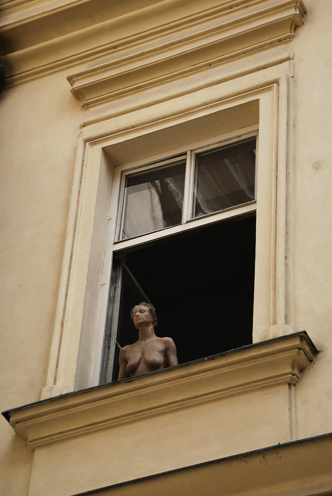 cherise nel recommends naked in window pic