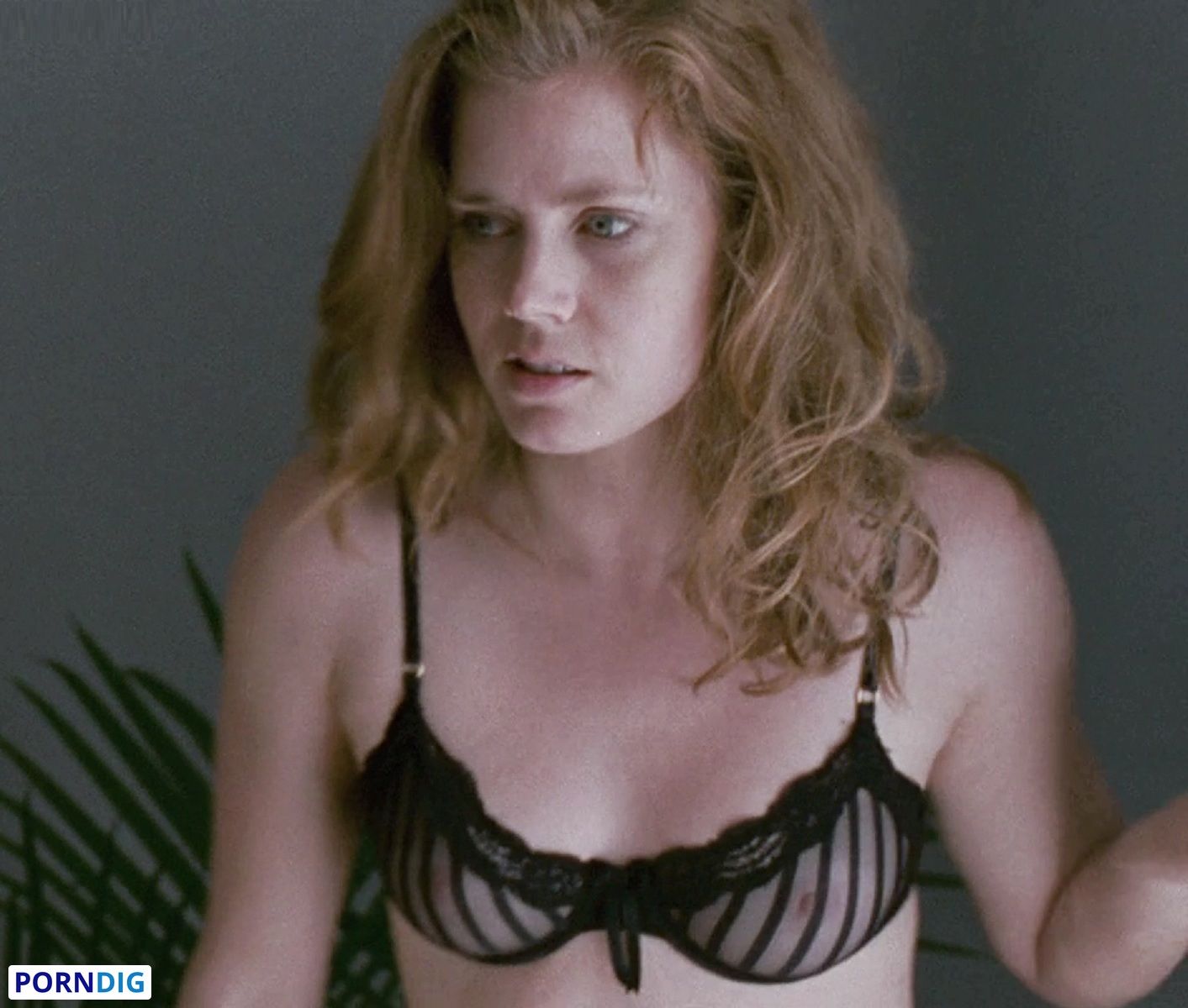 christine valera recommends Amy Adams Nude Photos