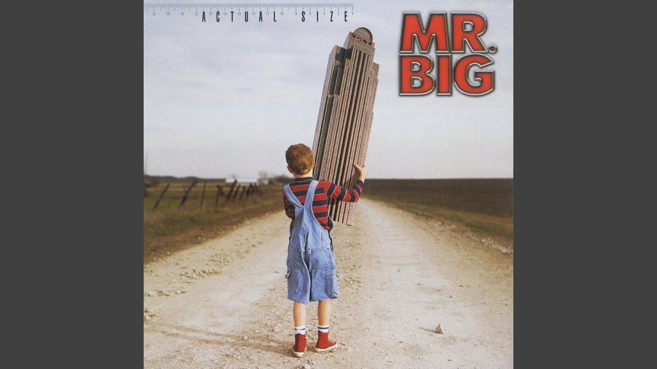 barb gaffney recommends Mr Bighole