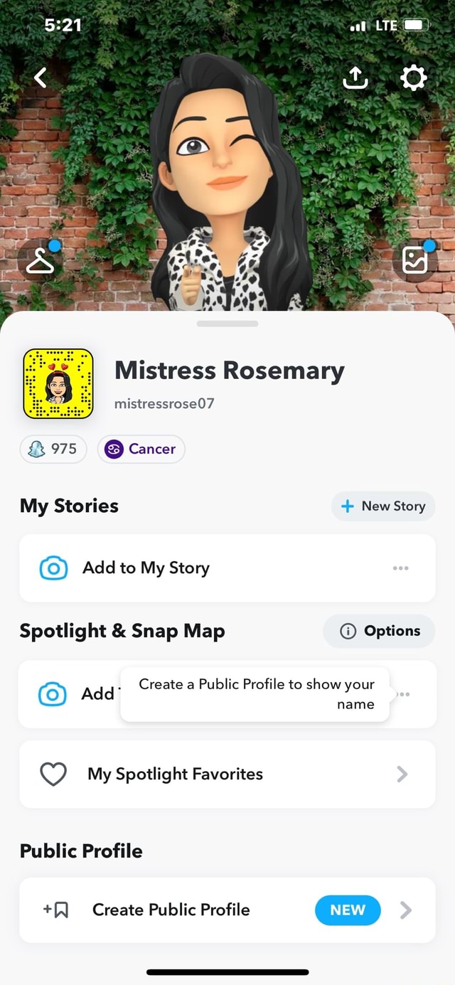 blaze mcfiery recommends Mistress Snapchat