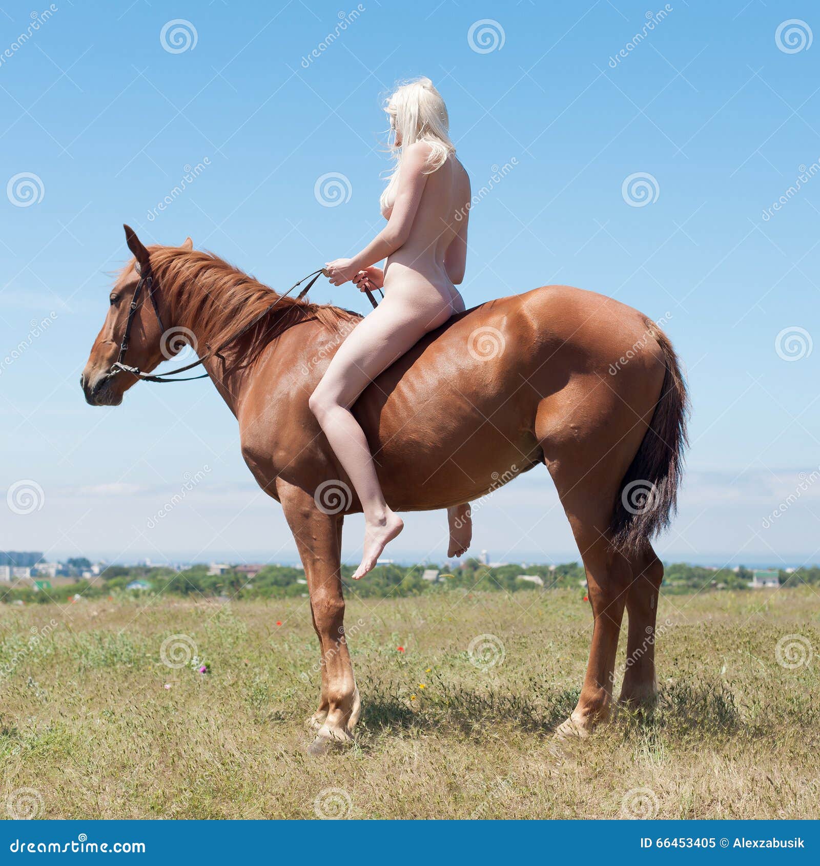 craig geoghegan recommends Nude Women Riding Horses