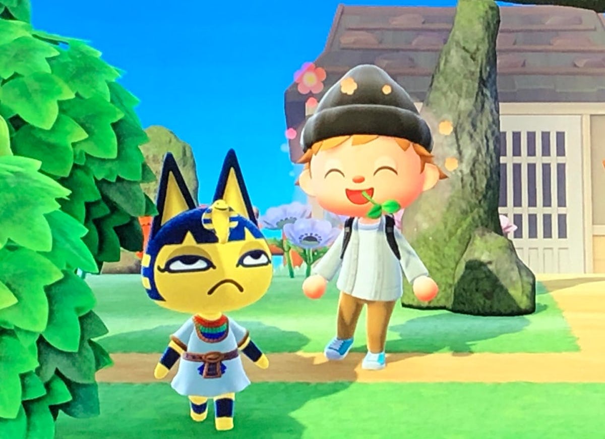 colleen mchugh recommends animal crossing ankha porn pic