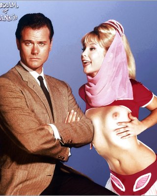 ahmed ewase share barbara eden boobs photos