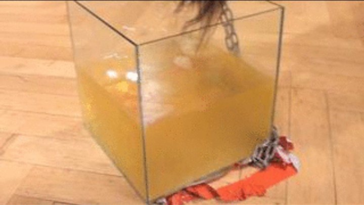 bdsm glass box